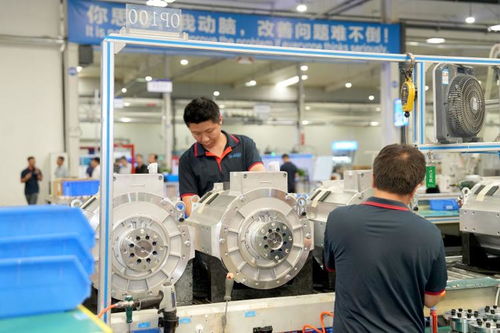 兩新政策紅利惠及生產(chǎn)企業(yè)，保稅造借機(jī)遇再上新臺階